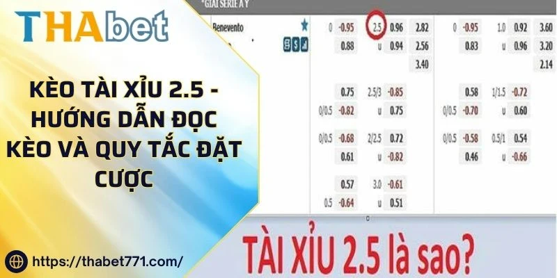 Kèo tài xỉu 2.5 - Hướng dẫn đọc kèo và quy tắc đặt cược