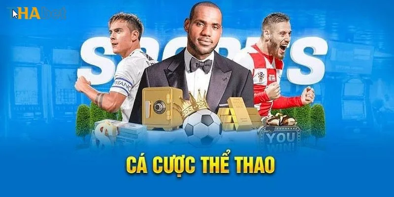 Sảnh thể thao độc quyền đầy sôi động tại nhà cái.